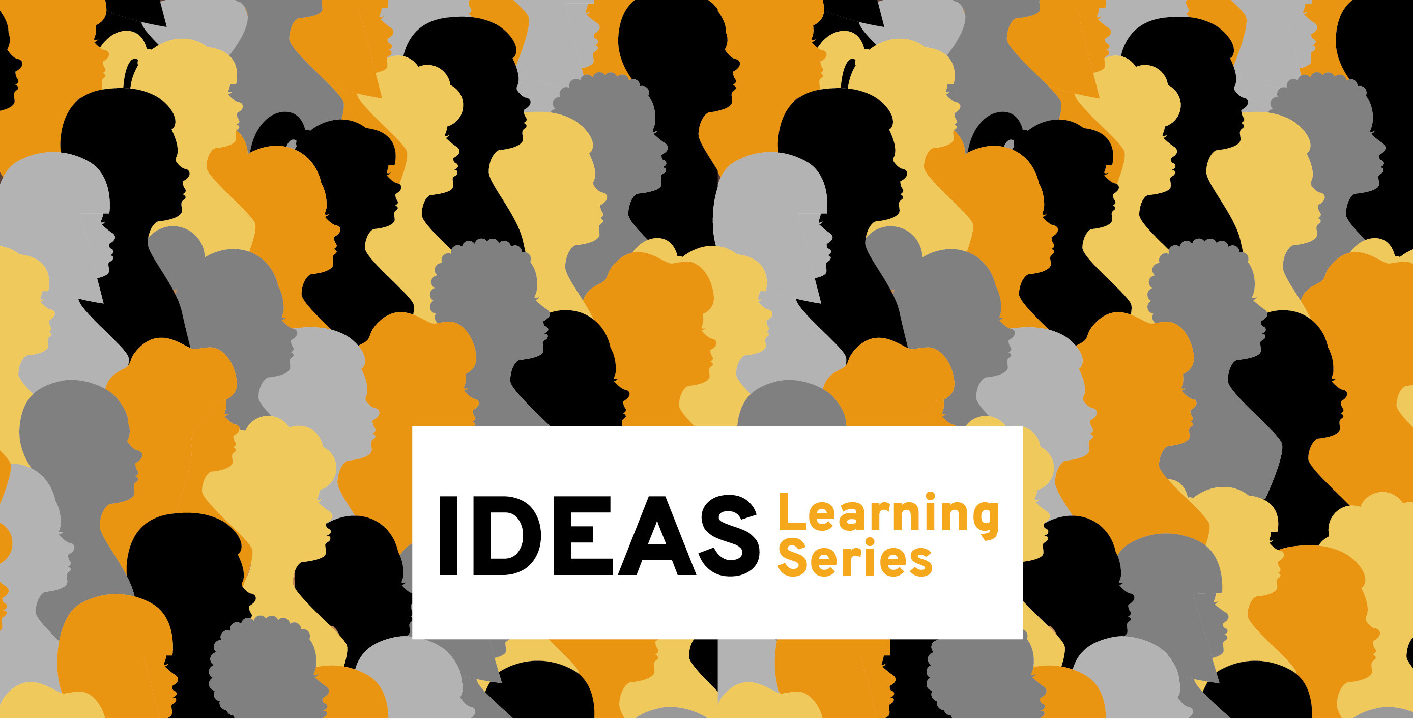 IDEAS Workshop Series